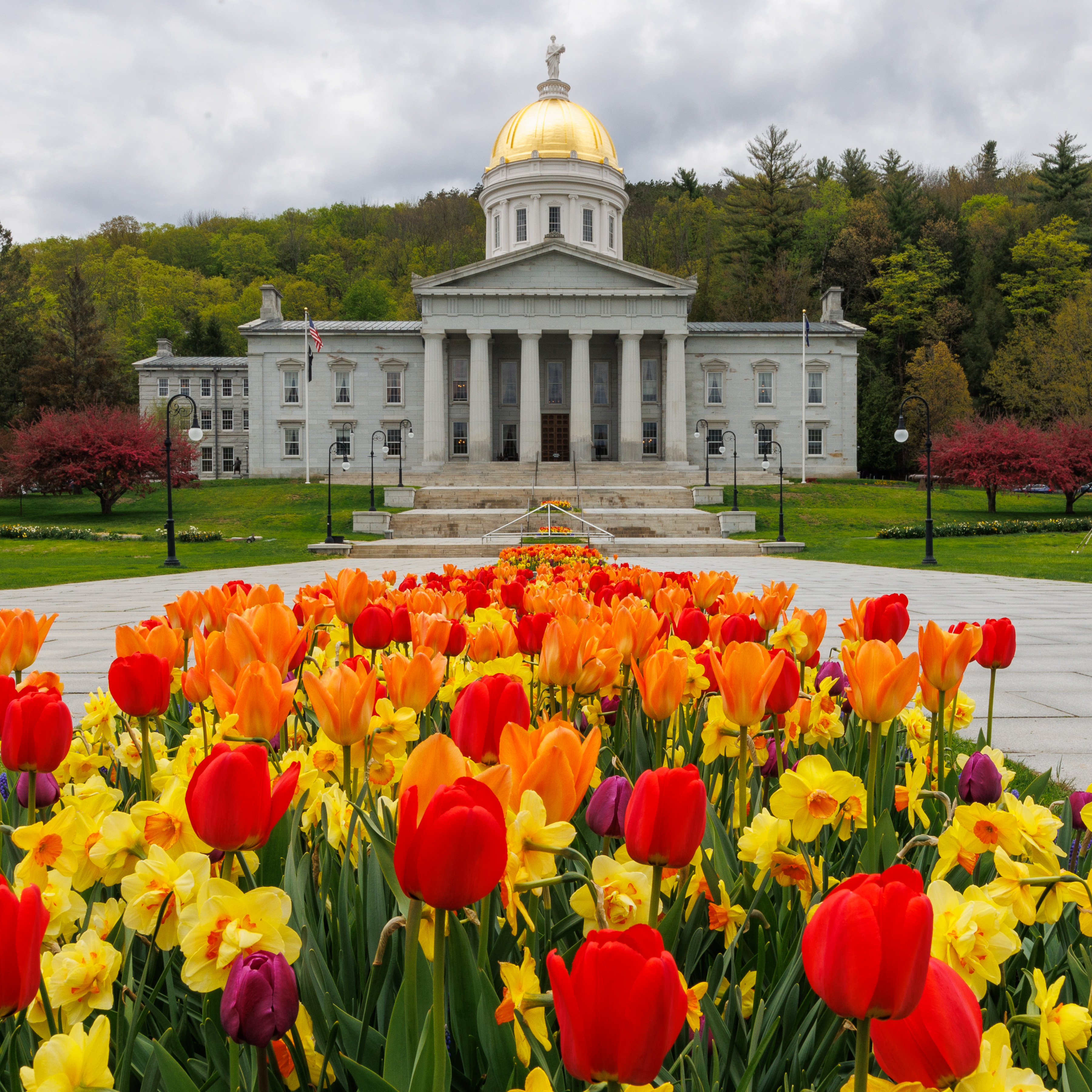 Vermont State Authority